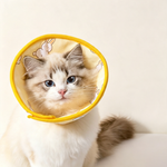 Cute Bunny Printed Soft Fabric Pet Recovery Cone