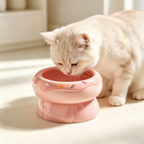 Donut Ceramic Raised Cat Bowl